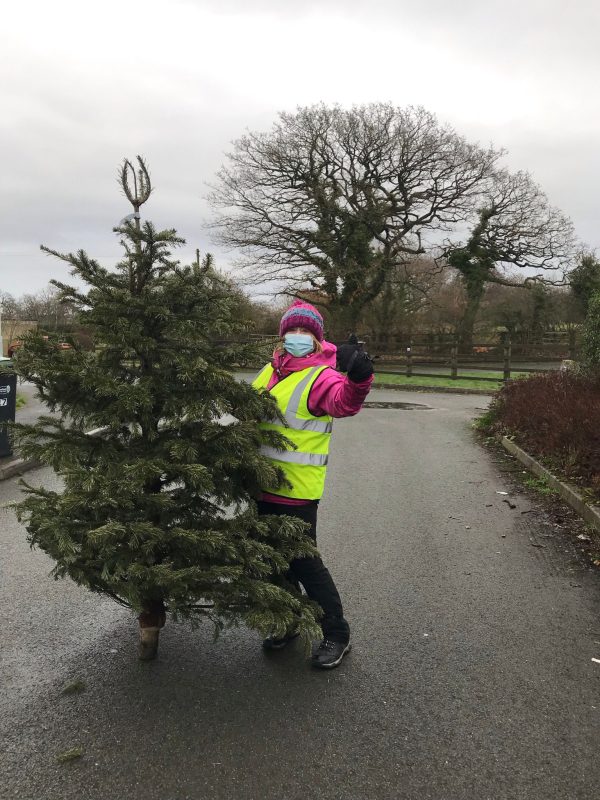 Christmas Tree Recycling St Cuthbert's Hospice