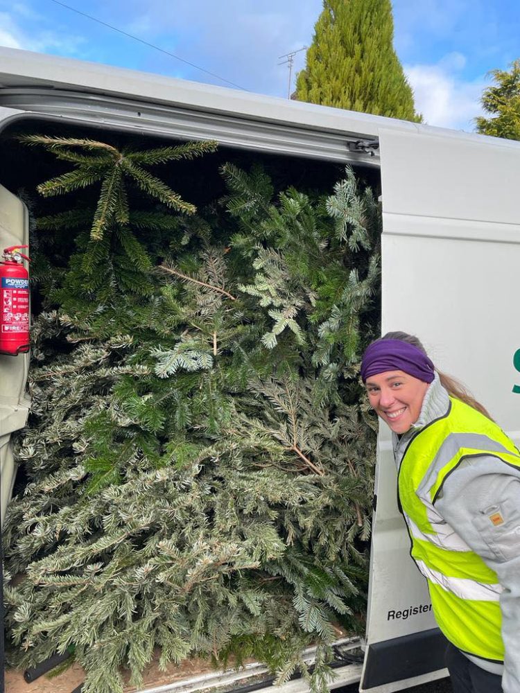 Christmas Tree Recycling St Cuthbert's Hospice
