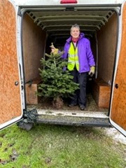 Christmas Tree Recycling - Image 2