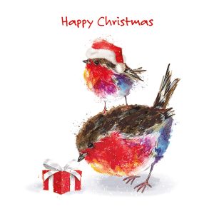 Two robins, one wearing a Santa hat, beside a colorful gift box, creating a festive holiday scene.