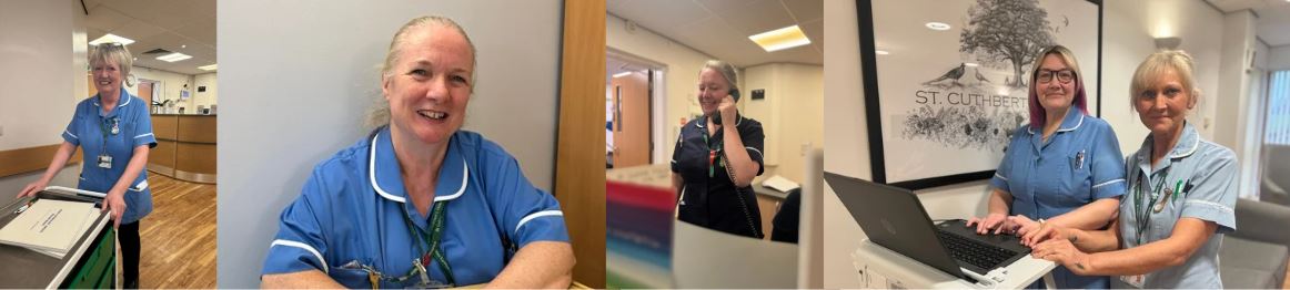 Nurses in Hospice doing various duties