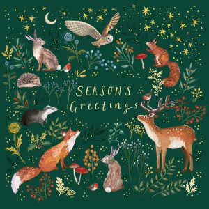Enchanted Christmas (10 pack)