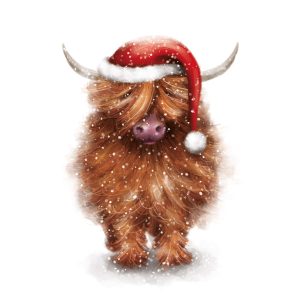 Fluffy Cow (10 pack)